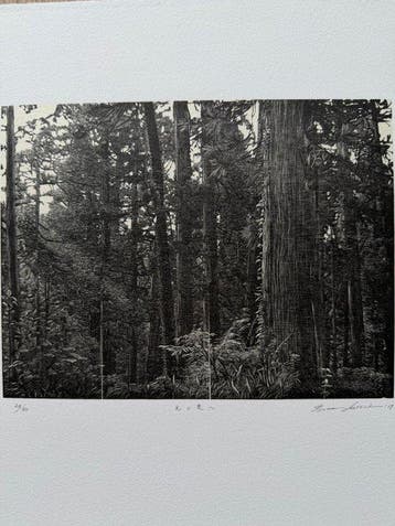 (Into the Depths of Light) - limited 25/50 - Ryota, Antiek en Kunst