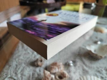 Roger Zelazny - Amber omnibus deel 3, Boeken, Gelezen, Roger Zelazny