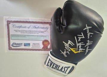 Guantone Boxe Everlast 14oz Autografato JULIAN THE HAWK, Nieuw