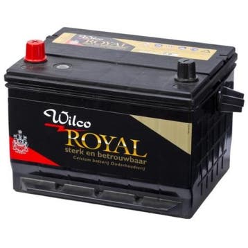 Wilco royal accu 55717, Verzenden, Nieuw