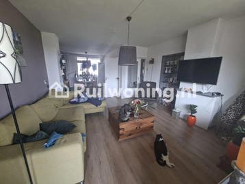 Eindhoven Gestel: Huis, 70m², 2 kamers, Huizen en Kamers