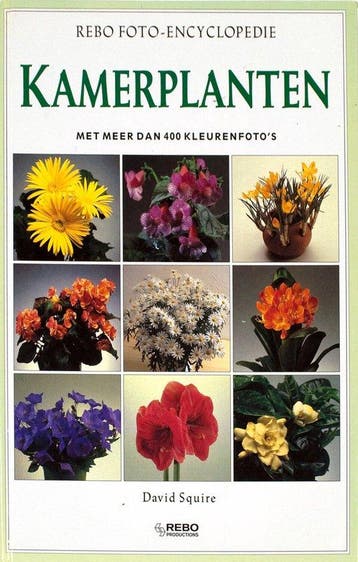 Kamerplanten foto - Squire, Verzenden, Gelezen