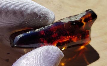 Blauwe amber - Hoge kwaliteit! - Geen minimumprijs- 12.84 g, Verzamelen