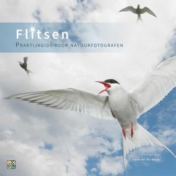 Flitsen / Praktijkgidsen / 3 - Johan van der Wielen, Verzenden, Zo goed als nieuw, Johan van der Wielen
