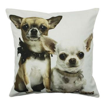 canvas kussen 2 chihuahuas 50x50cm*, Verzenden, Nieuw