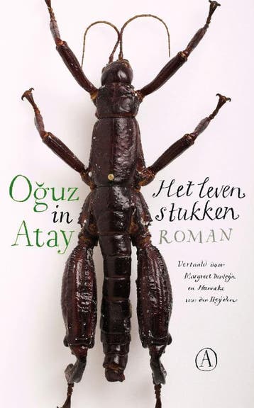 Het leven in stukken - Oguz Atay 9789025368807, Verzenden, Gelezen, Oguz Atay