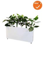 Verrijdbare plantenbak - 160x80cm - Wit (Accessoires), Werkplek, Ophalen of Verzenden, Gebruikt, Overige typen