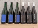 Jörg Bretz: Weißburgunder Sekt 2015 x3 & Weißer berg 2012 x3, Nieuw