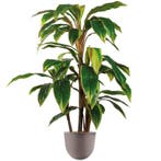 Cordyline kunstplant, H110cm, Ophalen of Verzenden, Overige soorten, 100 tot 150 cm