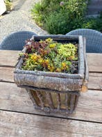 Vogelvoederplateau Tjilp Tafel, Ophalen of Verzenden, Nieuw