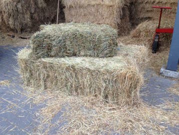 Weidehooi/kruidenhooi | NL | FR | DE | ( GEANNALYSEERD ) !, Dieren en Toebehoren, Dierenvoeding, Ophalen of Verzenden, Vee