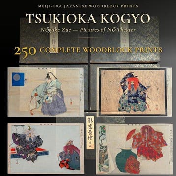 Complete 5-Volume Set: Ngaku zue 250 - Tsukioka Kgyo, Antiek en Kunst