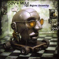 cd - Govt Mule - Life Before Insanity, Verzenden, Zo goed als nieuw