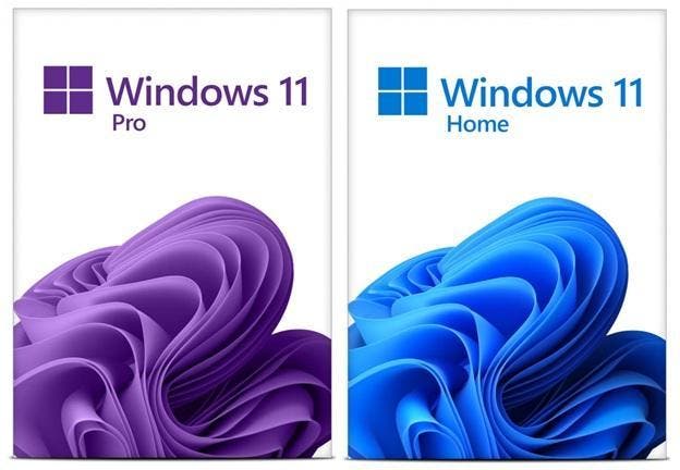 Windows 11 installeren op niet geschikte computers, Computers en Software, Besturingssoftware, Nieuw, Windows, Ophalen of Verzenden