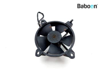 Koelfan Motor Piaggio | Vespa GTS 250 2005-2013 (GTS250, Verzenden, Gebruikt