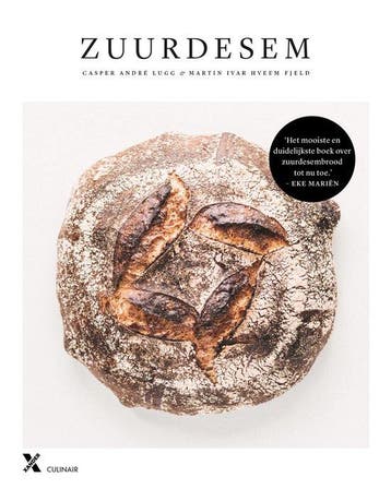 9789045215846 Zuurdesem | Tweedehands, Verzenden, Zo goed als nieuw, Casper Andre Lugg