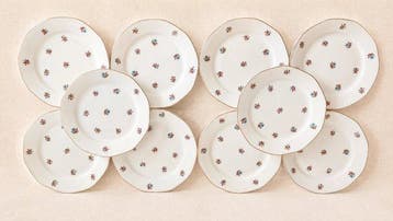 Digoin Sarreguemines Modèle « Véritable opaque » – Décor de