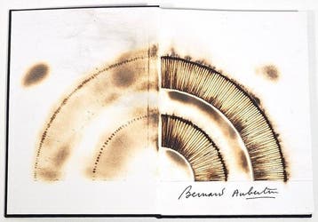 Bernard Aubertin (1934-2015) - Livre Brûlé Rosenberg, Antiek en Kunst, Kunst | Designobjecten