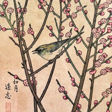 Kisaragi  (February) - Toshi Yoshida ( ) - Japan
