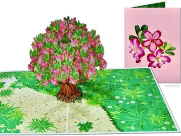 Roze Frangipani Plumeria Tempelboom pop-up wenskaart, Verzenden, Nieuw