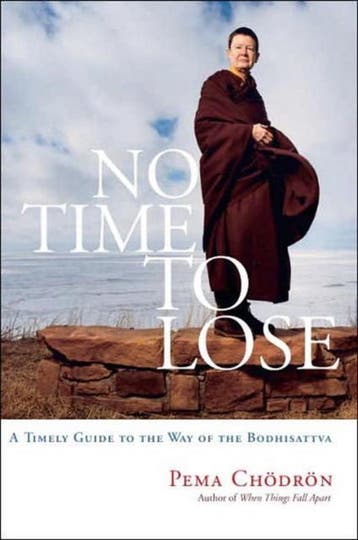 No Time To Lose - Pema Chodron 9781590304242, Boeken, Verzenden, Zo goed als nieuw, Pema Chodron