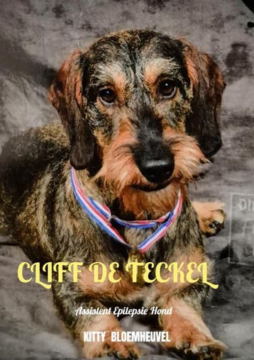 Cliff De Teckel, Een Hond Van Goud | Kitty Bloemheuvel, Ophalen of Verzenden, Nieuw, Kitty Bloemheuvel
