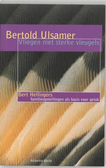 Vliegen met sterke vleugels - Bertold Ulsamer 9789069635958, Boeken, Verzenden, Zo goed als nieuw, Bertold Ulsamer