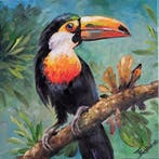 Tomasz Bednarski (1965) - Toucan