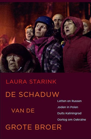 De schaduw van de grote broer - Laura Starink 9789045028125, Verzenden, Gelezen, Laura Starink