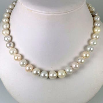 Halsketting Zilver Parel - Parel, Nieuw