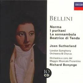 cd - Vincenzo Bellini - Norma, Les puritains, La Somnambu..., Cd's en Dvd's, Cd's | Overige Cd's, Zo goed als nieuw, Verzenden