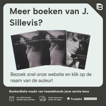 Eppe de Haan - J. Sillevis 9789040087042, Verzenden, Gelezen, J. Sillevis