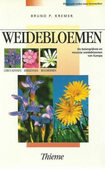 WEIDEBLOEMEN / Bloemen en planten - B.P. Kremer, Verzenden, Gelezen, B.P. Kremer