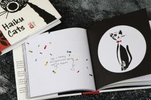 Haiku Cats | C. B. Fraser | Nieuw, Ophalen of Verzenden, Nieuw, C. B. Fraser
