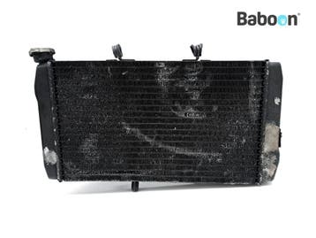 Radiateur Honda CBR 1100 XX Blackbird 1996-1998 (CBR1100XX, Verzenden, Gebruikt