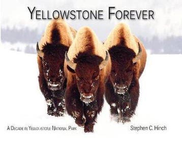 Yellowstone Forever - Steve Hinch 9781591521693, Boeken, Verzenden, Gelezen, Steve Hinch
