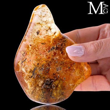 Specimen van Copal - Natuurlijk - Jonge Barnsteen Copale -, Verzamelen, Nieuw