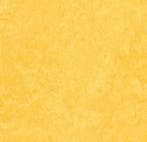 Forbo Marmoleum Fresco 3251 lemon zest, Verzenden, Nieuw