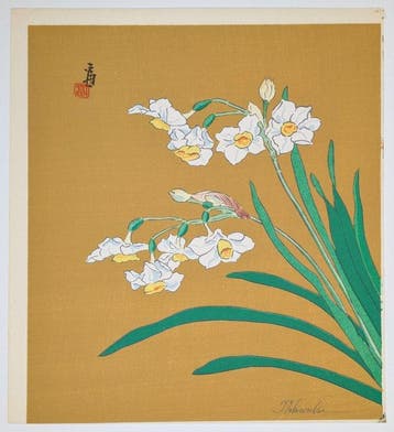 T. Tokuriki • Narcissus · potlood gesigneerd · Kyoto moderne