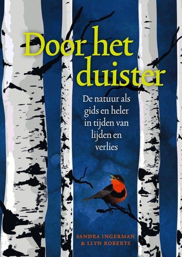 Door het duister - Sandra Ingerman 9789491557811, Verzenden, Gelezen, Sandra Ingerman