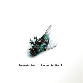 cd - Monstertux - During Daytime, Verzenden, Zo goed als nieuw