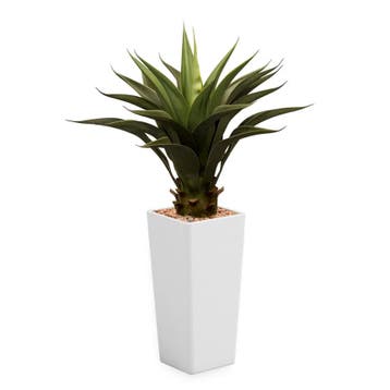 Agave Vetplant kunstplant, H105cm, Ophalen of Verzenden, Overige soorten, 100 tot 150 cm