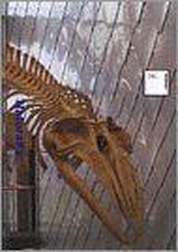 Naturalis - Naturalis, Ophalen of Verzenden, Nieuw