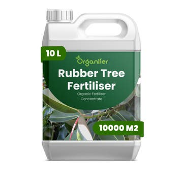 Rubberplant vloeibare meststof - 10 liter, Verzenden, Mest