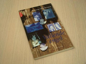Destremau, Yolaine - Vallende engel, Boeken, Verzenden, Nieuw