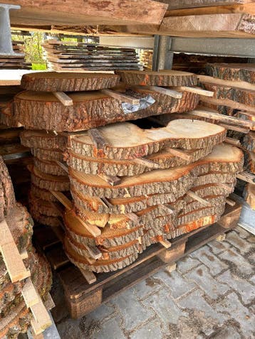 20X Boomstamschijf, eik, complete partij 460,- REF 785, 25 tot 50 mm, Verzenden, Eiken, Overige typen