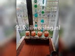 Gevraagd authentiek beneden woninkje Buitenveldert, Amsterdam