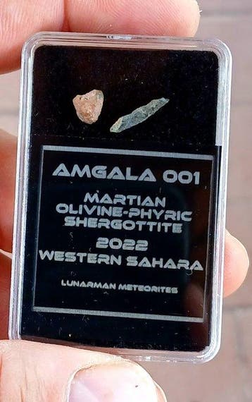 Amgala 001 Olivine-phyric Shergottiet Marsmeteoriet - 0.24 g