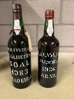 1983 DOliveiras Boal & 1986 Artur de Barros e Sousa, Nieuw