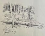 Louise Abbéma (1853-1927). - La forêt. Paysage avec Arbres